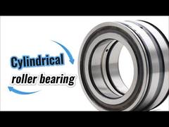 SL045010-D-PP Rolamento de rolos cilíndricos SL045010PP de dupla carreira com complemento total