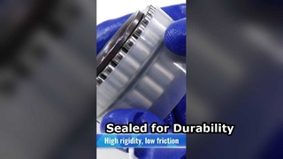 Rolamento de rolos cilíndricos de duas carreiras CPM2518 sem anel externo | Rolamentos automotivos e industriais