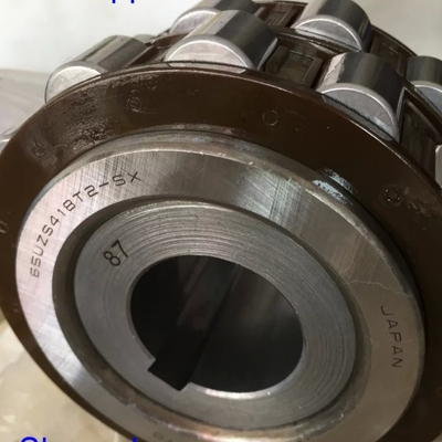 65UZS418T2X-SX-87 Rolamento de rolos cilíndricos com bucha 65UZS418 Rolamento excêntrico de gaiola de nylon