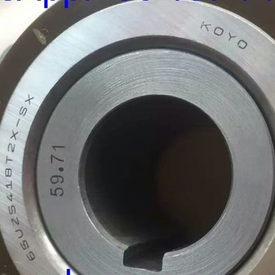 65UZS418T2X-SX-87 Rolamento de rolos cilíndricos com bucha 65UZS418 Rolamento excêntrico de gaiola de nylon