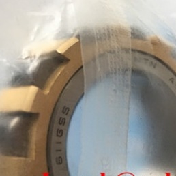 611 GSS (A-BE-NKZ27.5X47X14-2) Rolamentos cilindricos excêntricos de 27,5 x 47 x 14 mm ISO